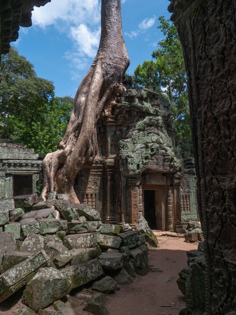 ta_prohm03.jpg