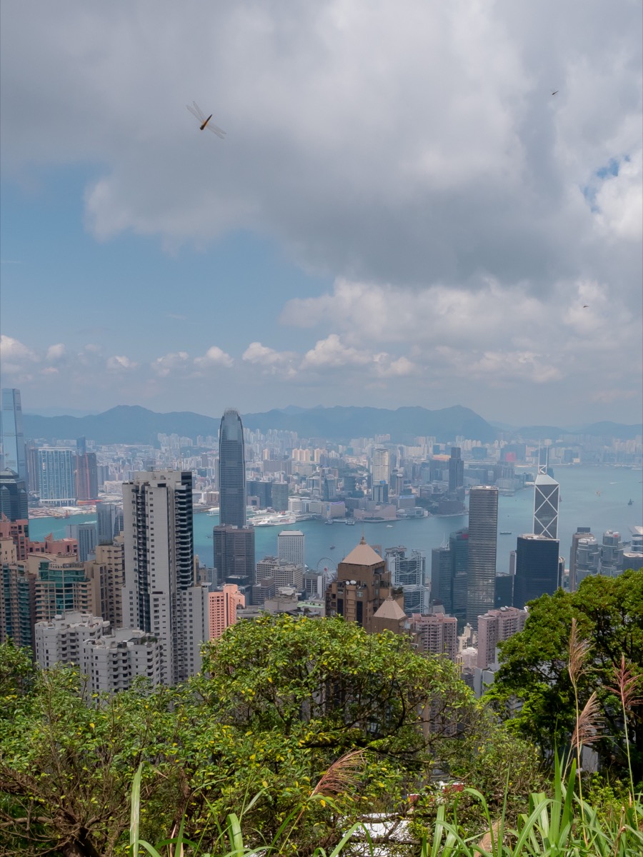 HK_victoria_peak_02.jpg
